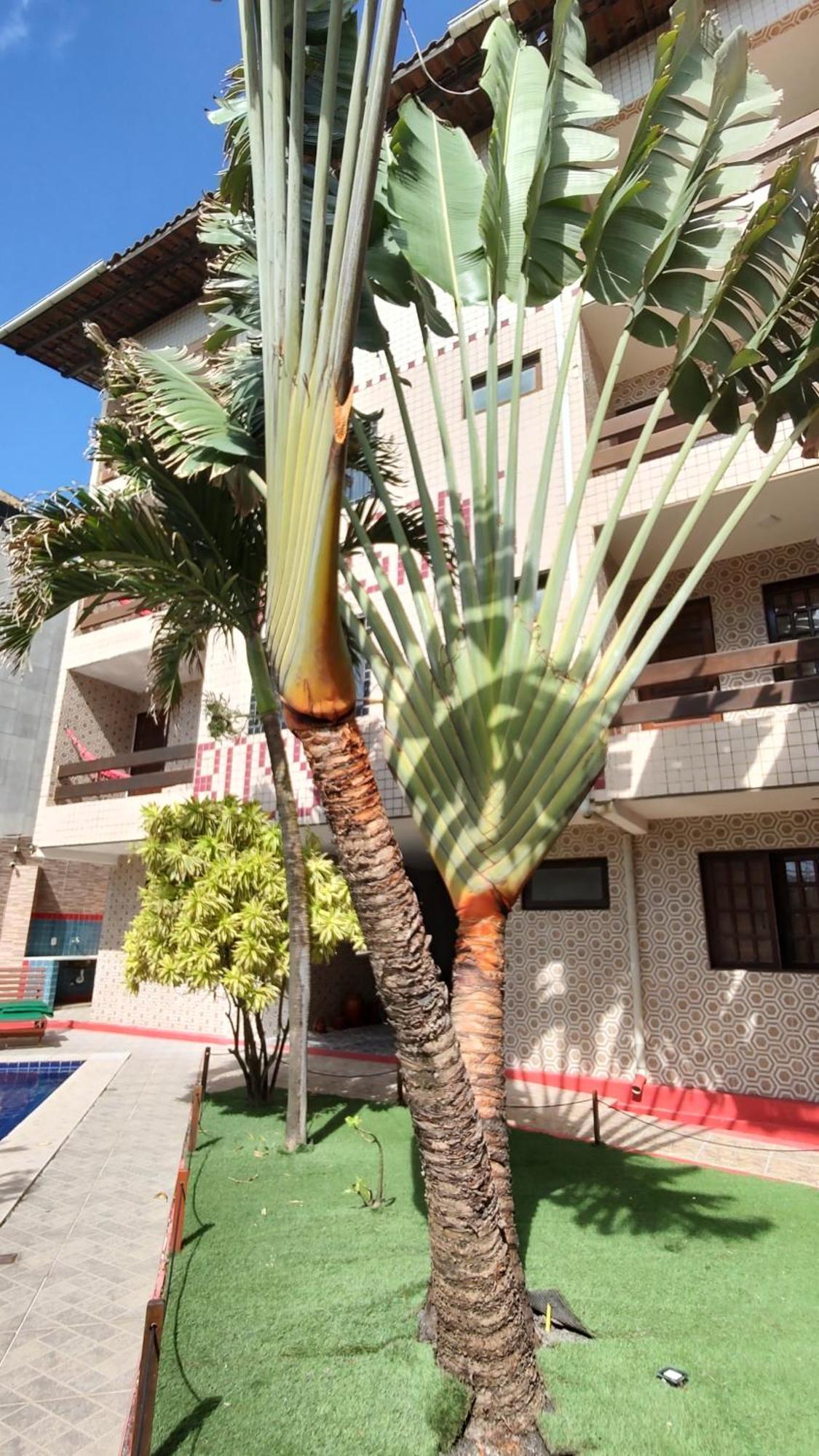 Pousada Bossa Nova Hotel 2*